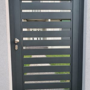 Model Lechința 100