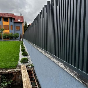 Modele Arhitecturale